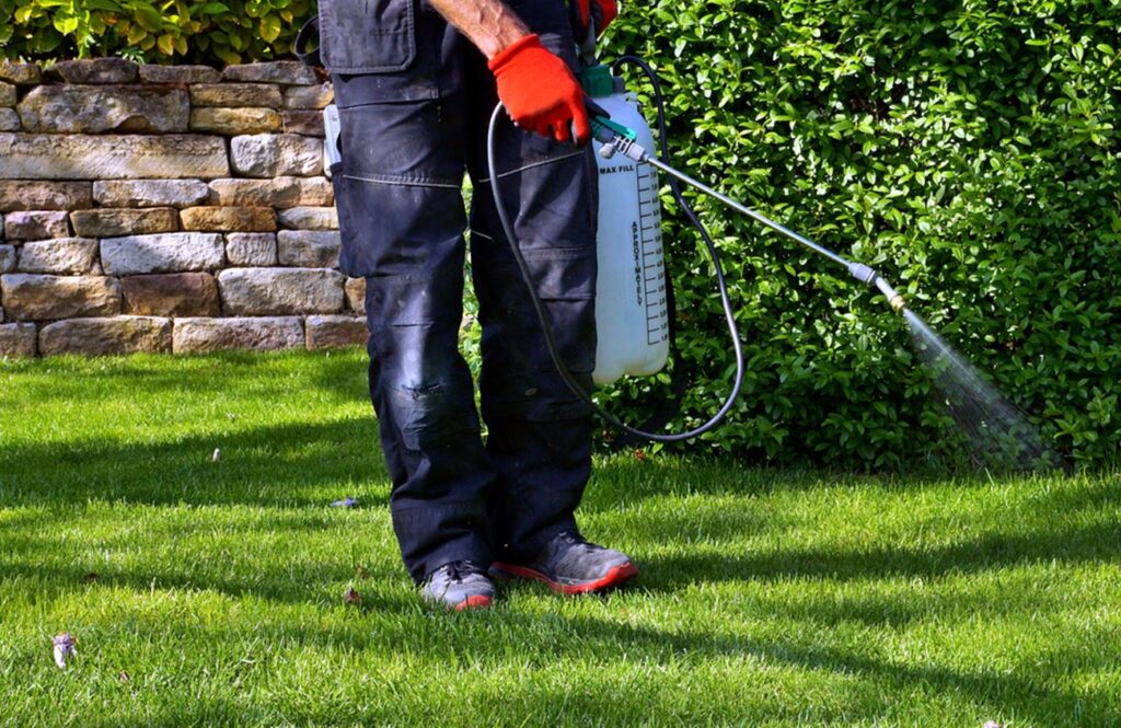 All American Lawn & Pest Control - spray