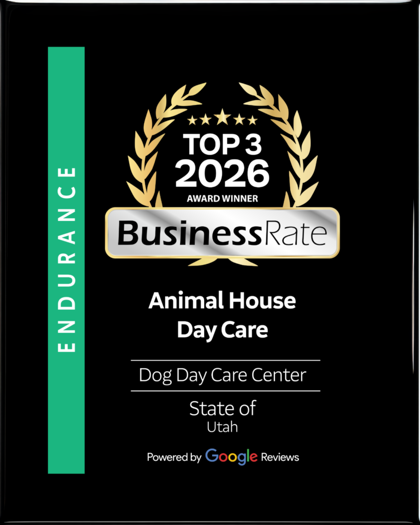 Animal House Day Care - award