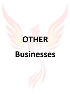 Businesses for Sale - Other