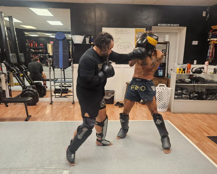 Institute of Mixed Martial Arts - Banner