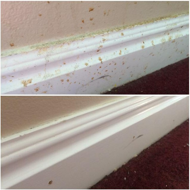 Koality Home Kleaning - Baseboard before & after