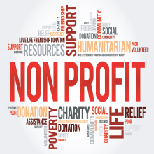 Non-profit Organization