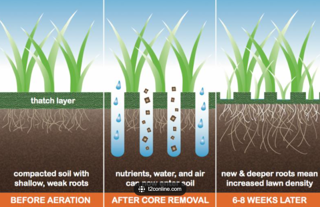 Plugs Lawn Aeration - science of healthy lawns