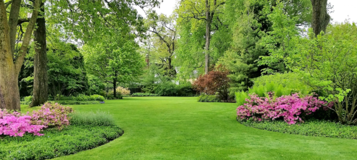 Plugs Lawn Aeration - Beautiful healthy lawns