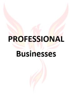 Businesses for Sale - Professional