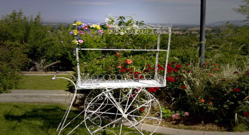 Something Borrowed - Enchanted Series - outdoor decorations