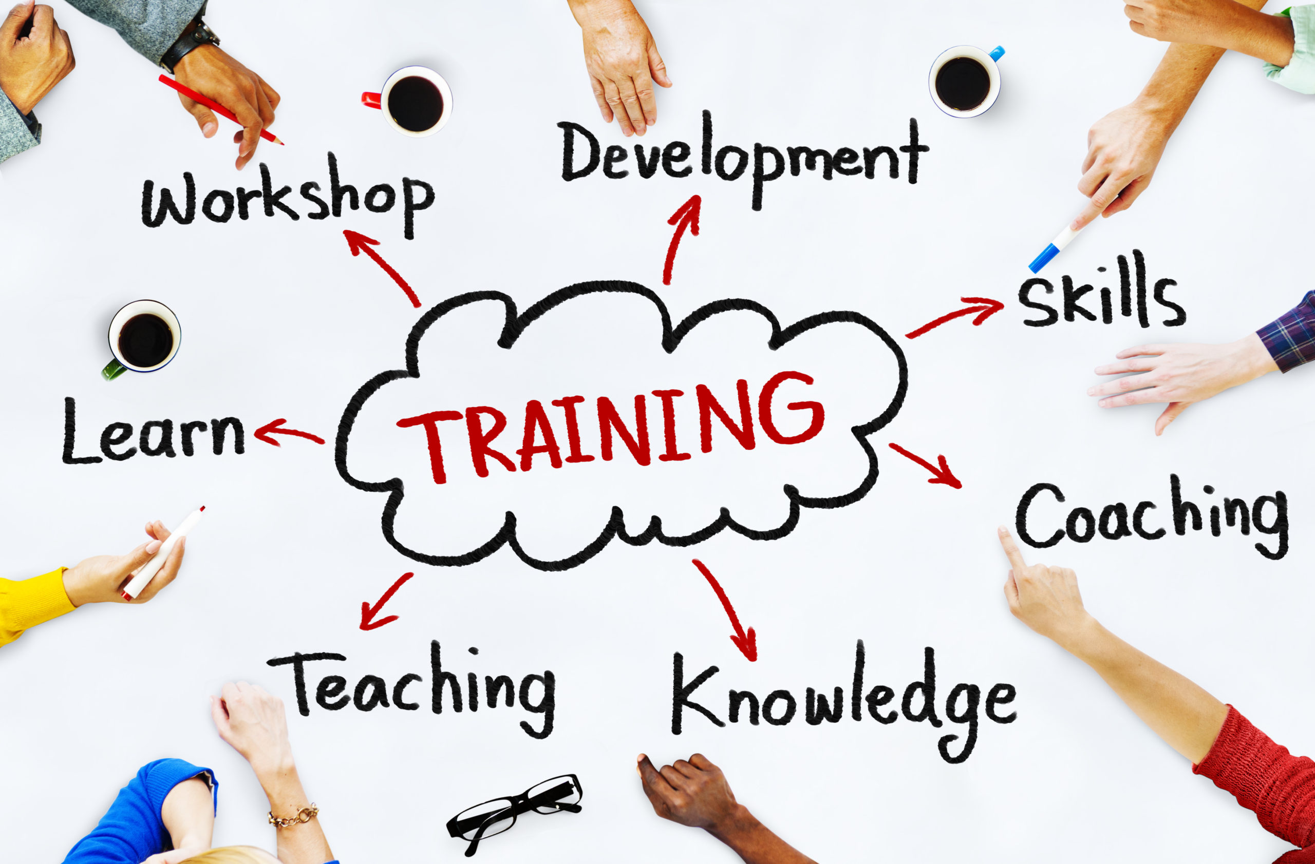 Business Training / Professional Development