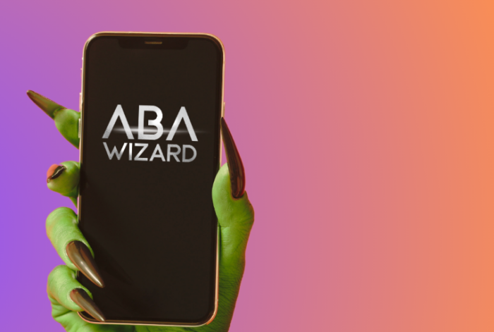 aba banner 2 - Biznis Resource ABA Wizard - banner 2