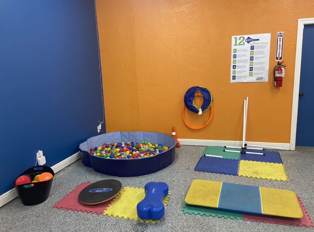 Canine Creation - playroom