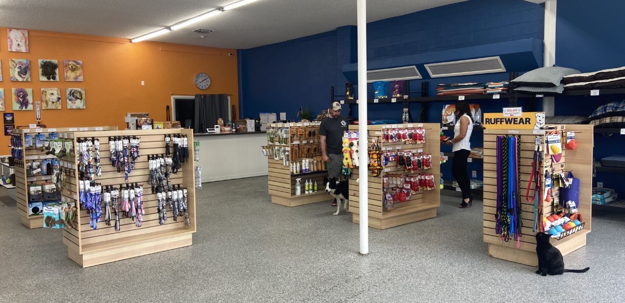 Canine Boarding, Training and Grooming Business for Sale ...