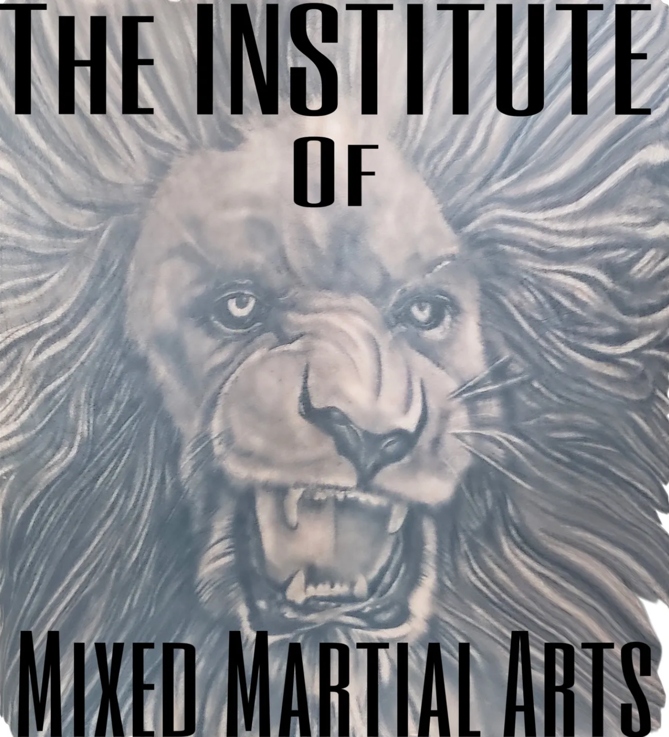 The Institute of Mixed Martial Arts - logo