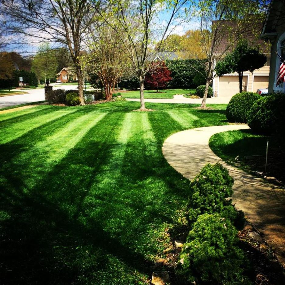 Brunos Landscaping - community favorite