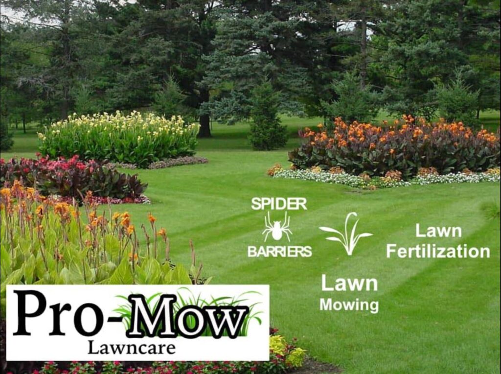 Pro-Mow Lawncare - Services