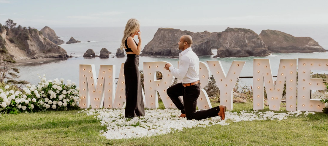 Pro Proposal Co - luxury proposal