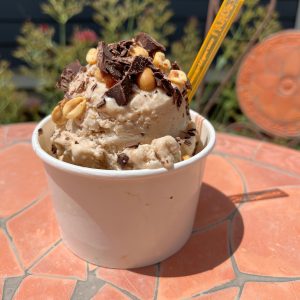 ricochet ice cream brownie - Biznis Resource Ricochet Ice Cream - Chocolate brownie