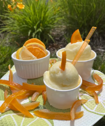 ricochet ice cream flavors - Biznis Resource Ricochet ICe Cream - Artisan ice cream