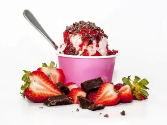 ricochet locally sourced - Biznis Resource Ricochet Ice Cream - Vegan menu options