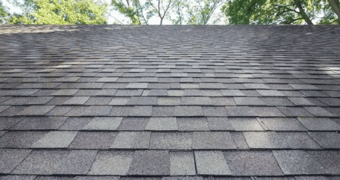 roof max roofing banner - Biznis Resource Roof Maxx - roof banner