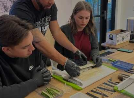 sushi squad workshops - Biznis Resource Sushi Squad - workshops